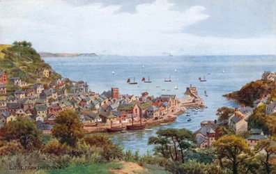 Looe, From The Downs