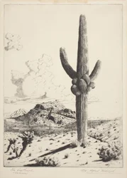 The Sentinel