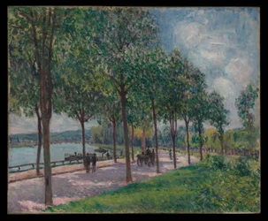 Allée of Chestnut Trees