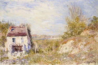 The Abandoned House