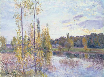 Unknown Image