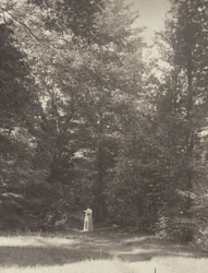 "Hedwigsweg" II, Lake George