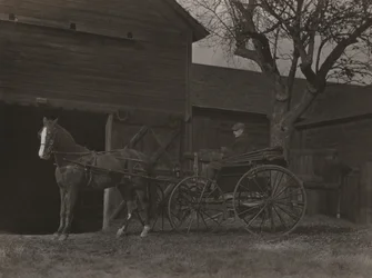 Horse and Carriage