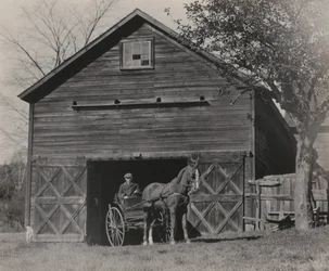 Horse and Carriage