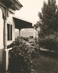 House and Grape Leaves