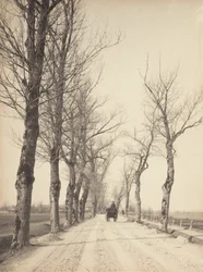 November Days
