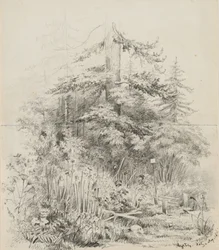 Indian Burial Place, Oregon