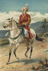 Arabian Nights: The History of Codadad and His Brothers