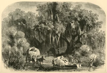 The Moss-Gatherers, 1872