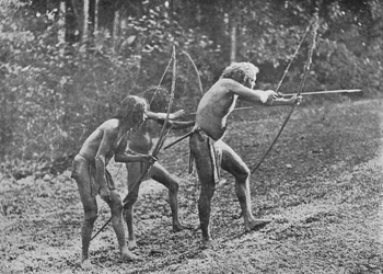 Veddahs or Wild Men