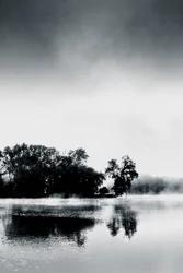 Boissy Morning, 2017