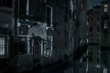 Moonshadows, Venice, 2018