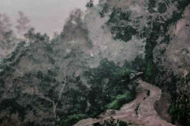 Path on the Levadas, 2020