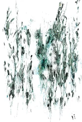 Whispers of the Stream, 2017