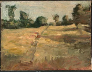 The Field
