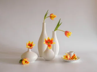Bright Tulip Still Life