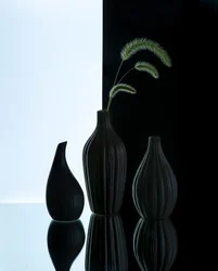 Elegant Vases with Grass