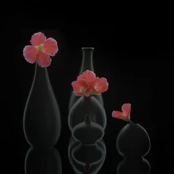 Minimalist Floral Vases
