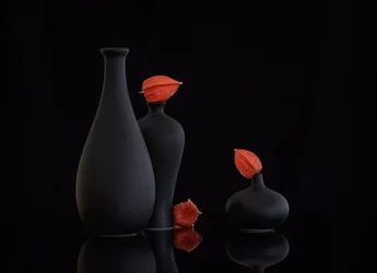 Orange Physalis Still Life