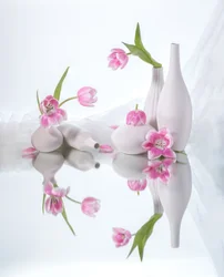 Pink Tulip Reflections