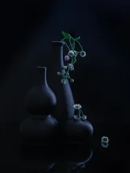 Serene Vases and Blooms