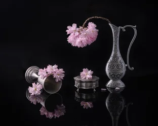 Silver and Sakura