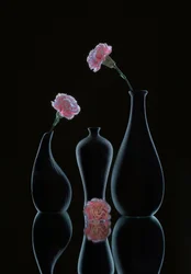 Sleek Floral Still Life