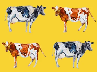 Spotted Farm Cows