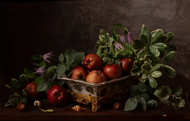 Rustic Fruit Still Life
