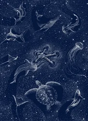 Astronaut Ocean Stars