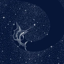 Celestial Sailfish