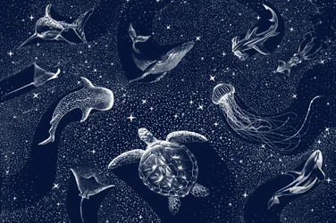 Cosmic Ocean Animals
