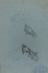 Hand Studies