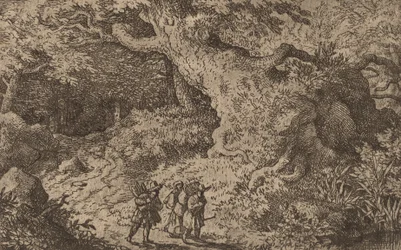 A Thick Forest