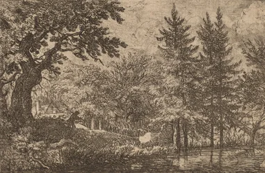Fir Trees at the Water, probably c. 1645-1656
