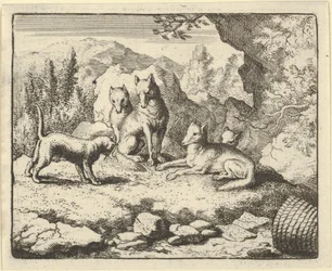 The Cat Calls Renard to Appear before the Tribunal