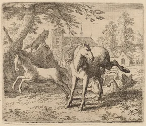 The Mare and the Wolf