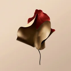 Elegant Leather Flower