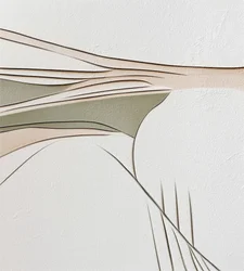 Flowing Abstract Lines