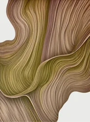 Organic Flowing Lines