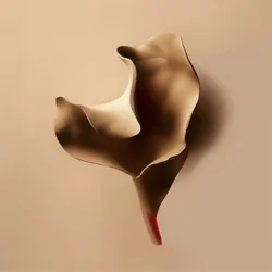 Soft Sculptural Form