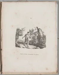 Art of the Lithograph: Transfer of a Wood Engraving (Plate VI)