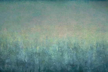 Dreamy Misty Landscape