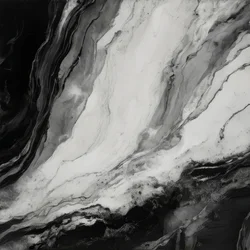 Elegant Black Marble