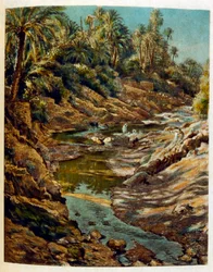 Illustration from 