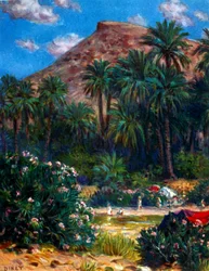 Oasis