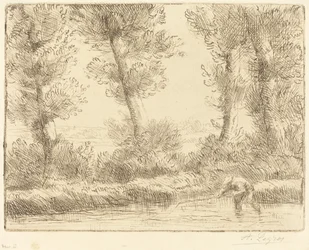 Banks of the Liane