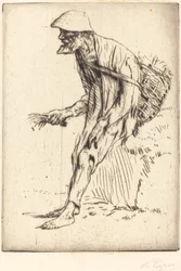 Chickweed Merchant
