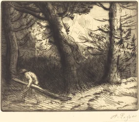Edge of a Forest in Bourgogne