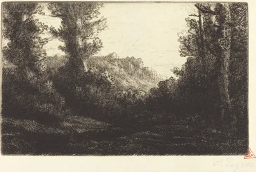 Edge of a Wood (Lisiere de bois)